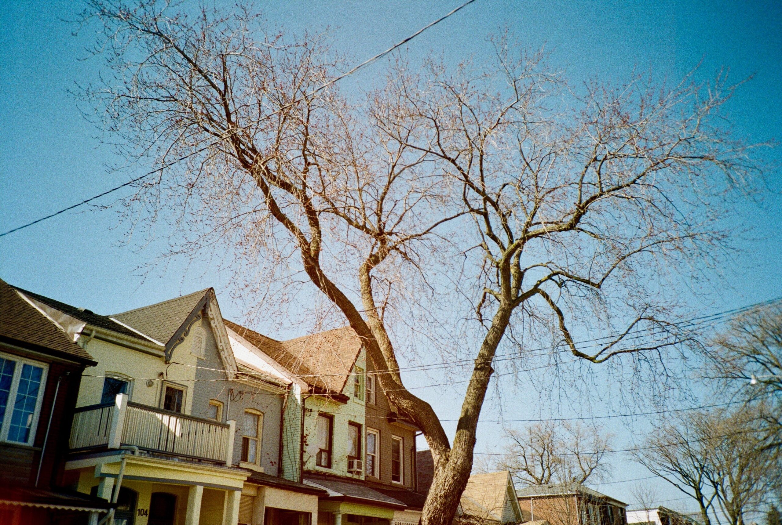 Foreclosures in Beresford, NB