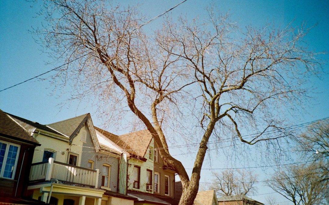 Foreclosed homes for sale in Coney Island, ON